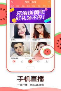 直播吃瓜听小说,小说世界尽收眼底